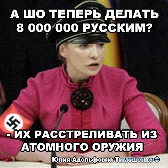 Телефонный разговор Тимошенко и Шуфрича