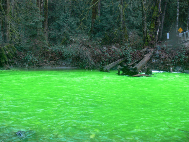 Зелёная река