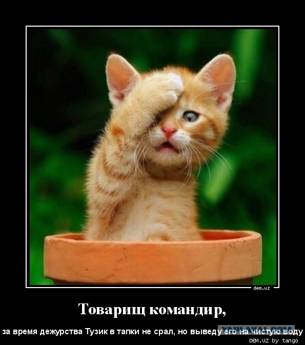 Чёрт, чёрт, чёрт!