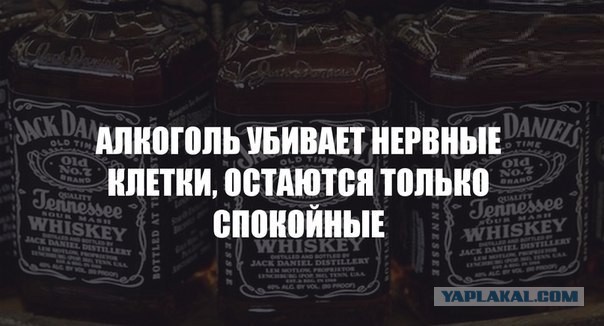 Немного картинок и юмора