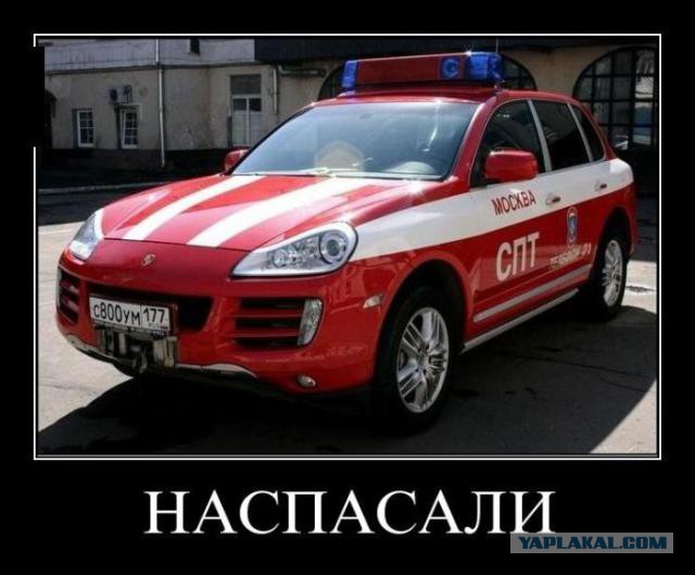 Забавные картинки из Сети