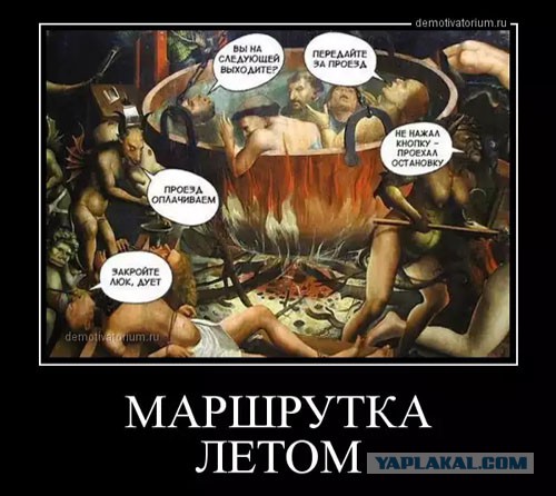 Картинки из сети