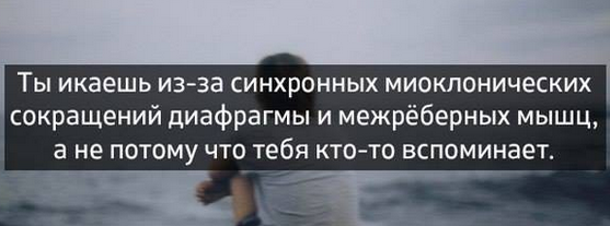 Прикольные фото и картинки