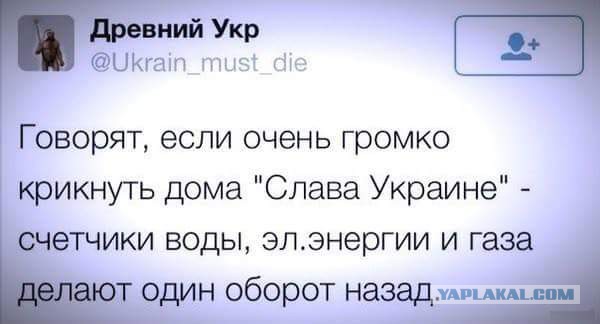 10 политических картинок часть 14