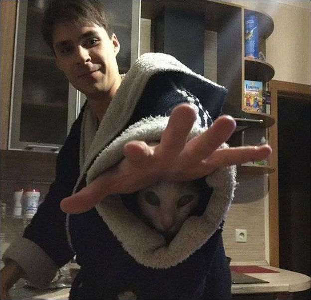 Смешные картинки