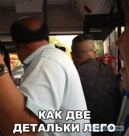 Прикольные картинки