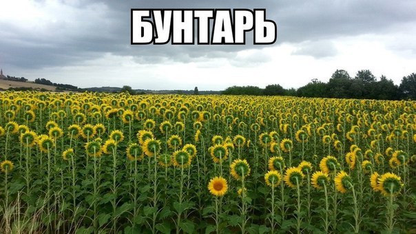 Картинки на утро вторника