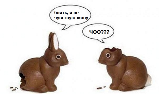 Казаки взяли под круглосуточную охрану все районные суды Москвы