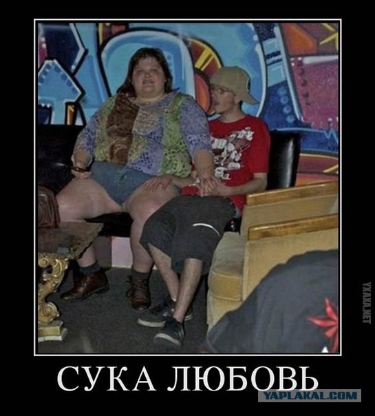 Подборка картинок из сети