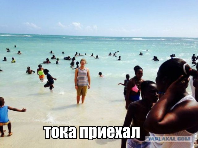 Веселые картинки
