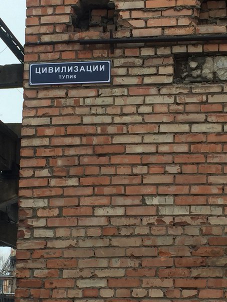 Подборка картинок на среду