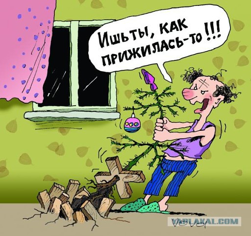 Картинки с надписями
