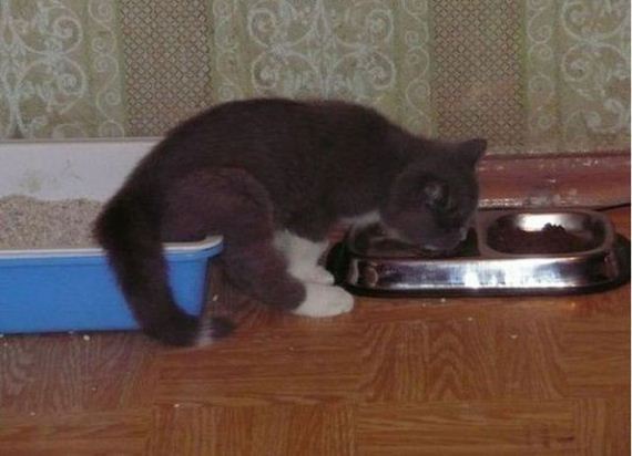 Ужасы и приколы из соцсетей