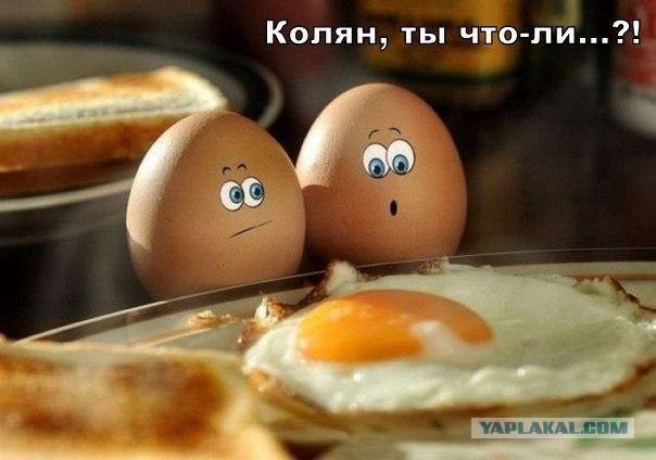 Весёлые картинки