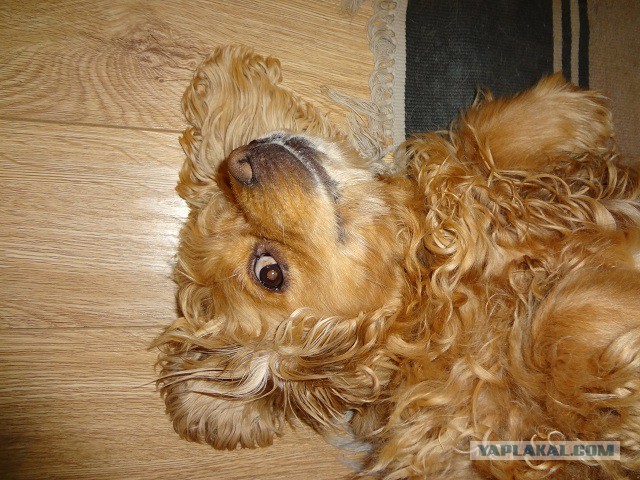 Почти взрослая