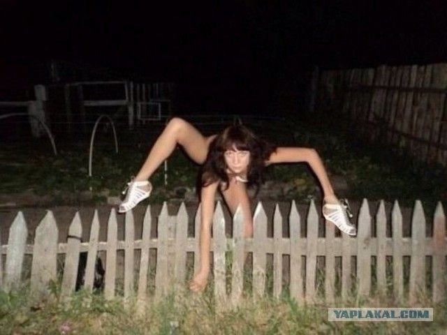 WTF: Что тут происходит?