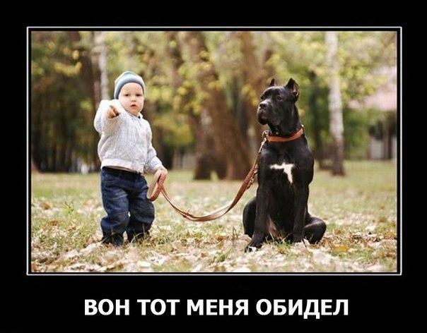 Подборка интересных и смешных картинок