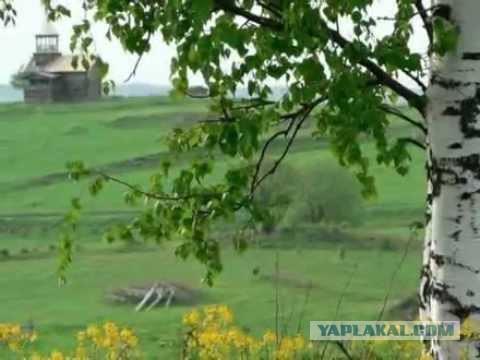 Опять Маша. По лезвию ходит.