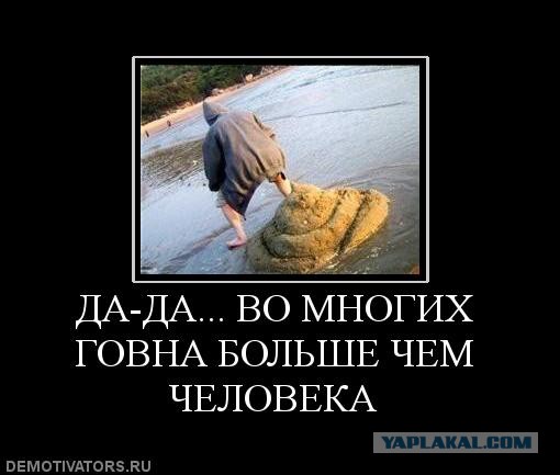 Как избавиться от г..няной мухи ?