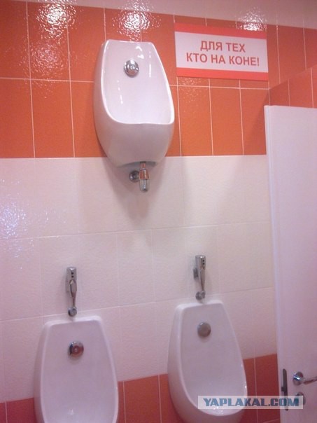 Просто 40   фоток....