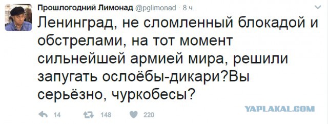 «Кто не может уехать – приходите, живу около Петроградской. Будем пить чай и гладить котов»