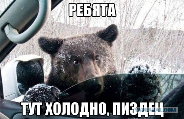 Веселые картинки! Деградиреум,  или просто веселимся?