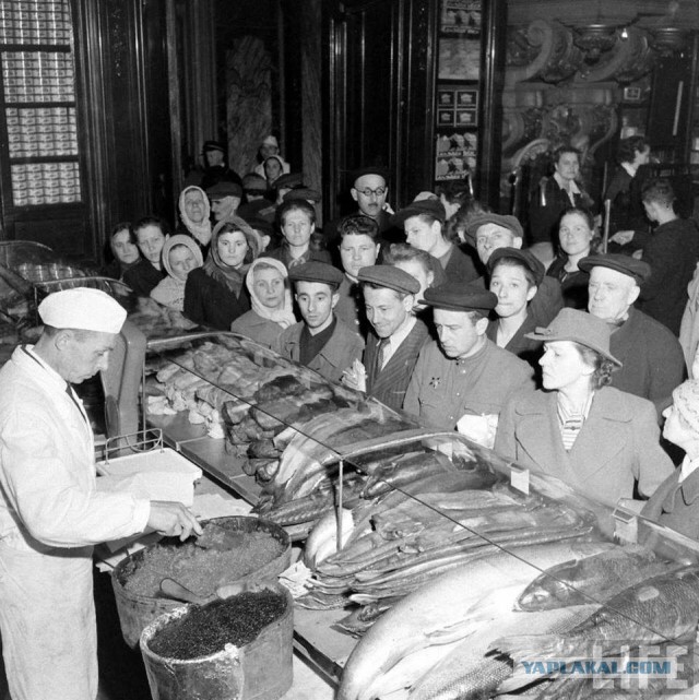 Баянистая годнота - 2