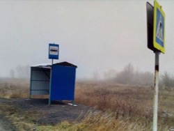 Вышли на международный уровень! Новосибирская остановка за 500 тысяч рублей попала в американские СМИ