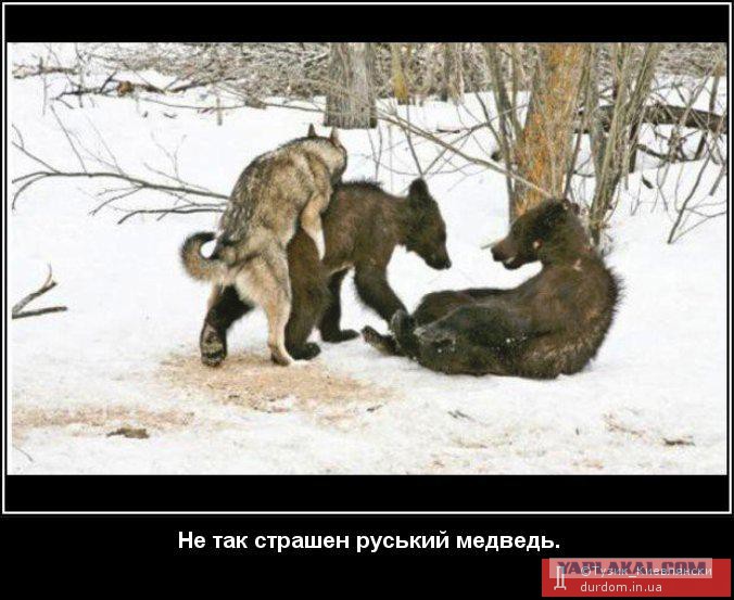 Молодая развратница обожает меха и анальное спаривание