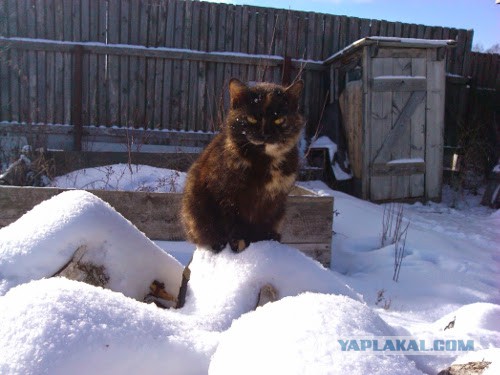 Здравствуй, Душанбе! (2)