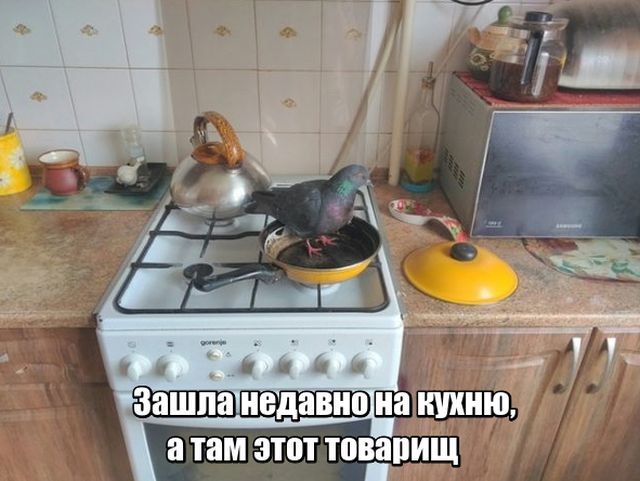 Подборка интересных и веселых картинок