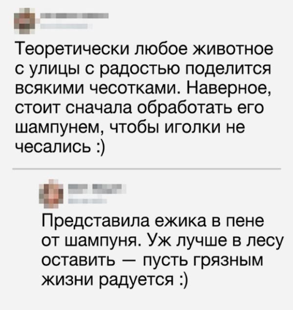 Прикольные комментарии и высказывания из Сети