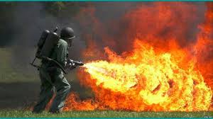 Королева мух