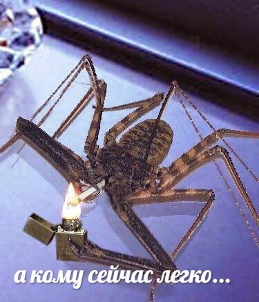 Оп! Нас накрыла тяжёлая наркомания!
