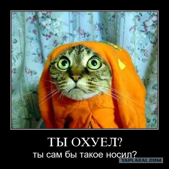 Как защитить кота от негативного излучения