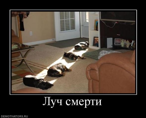 Что-то жарко сегодня...