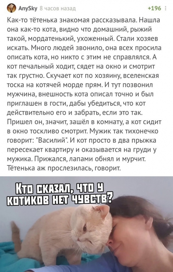 Картинки с надписями, истории и анекдоты 03.09.19.