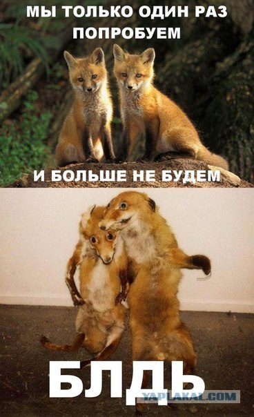 Новогодняя токсидермия+наркомания