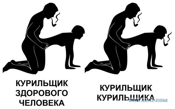 Немного слегка пошлых картинок с надписями 16+ (10.06)