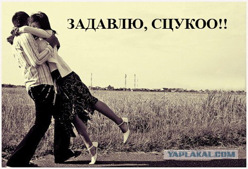 Простое человеческое счастье в картинках