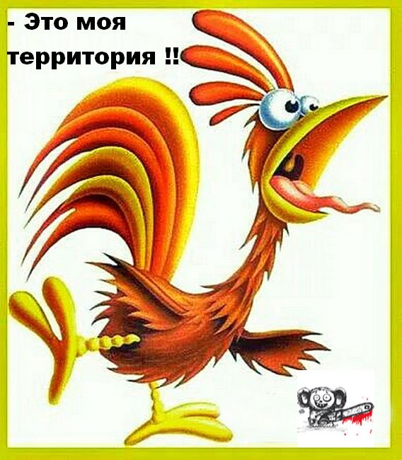 Кризис среднего. Бесполезная методичка взрослым тёткам