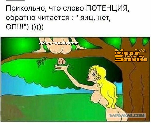 Немного картинок для настроения 07.09.20