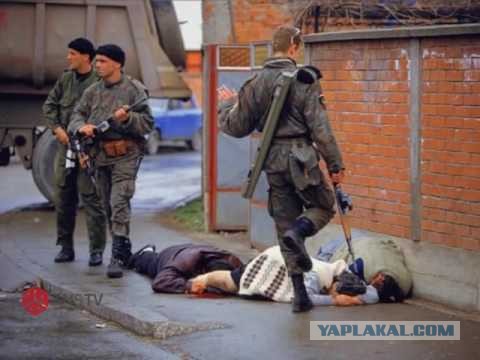 След Тигра