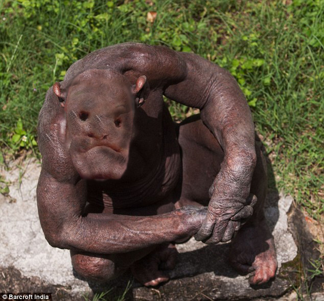 Фотожаба: Всю жизнь за решеткой