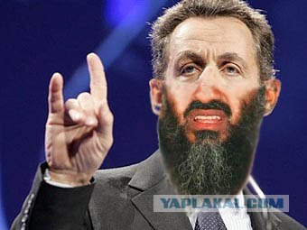 Жабим бороду?