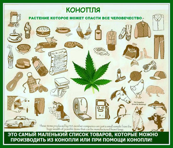 Россия против канабиса