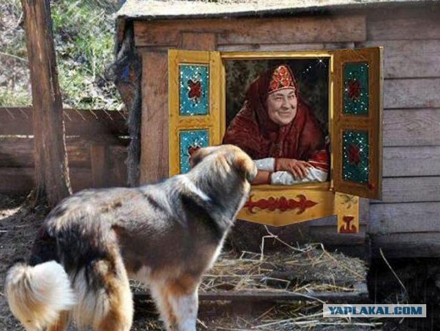Фотожаба: Собака с Девушкой