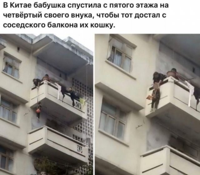 Картинки и мемы для настроения