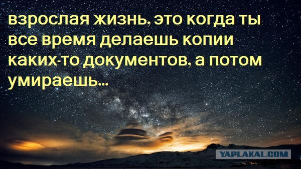 "Справку принеси!": в край упоротые ситуации, которых бы не было без бюрократизма