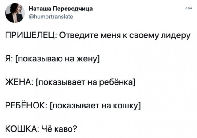 Картинки и мемы для настроения 29.06.2021